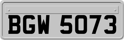 BGW5073