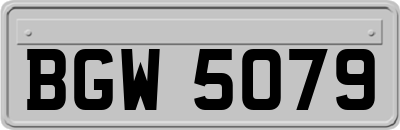 BGW5079
