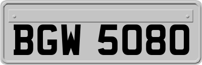 BGW5080