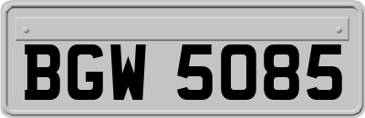 BGW5085