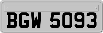 BGW5093