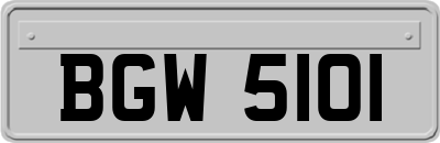 BGW5101