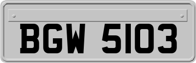 BGW5103