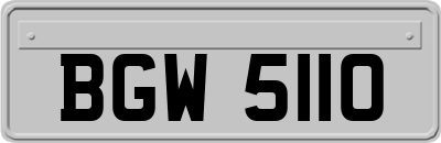 BGW5110