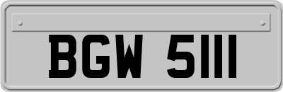 BGW5111