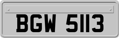 BGW5113