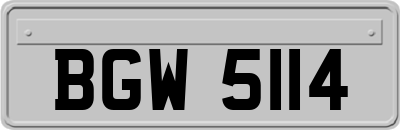 BGW5114