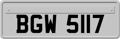 BGW5117