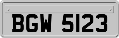 BGW5123