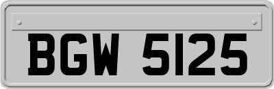 BGW5125