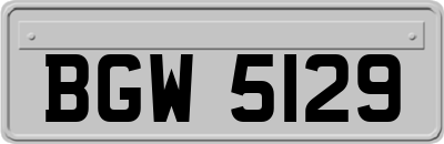 BGW5129