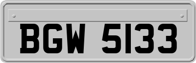 BGW5133