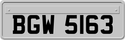BGW5163