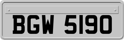 BGW5190
