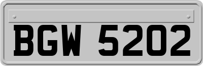 BGW5202