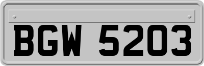BGW5203