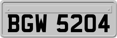 BGW5204
