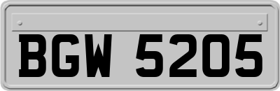 BGW5205