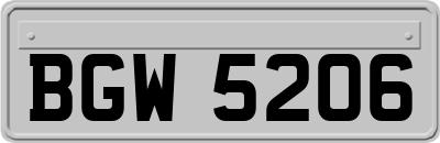 BGW5206