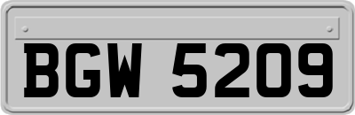 BGW5209