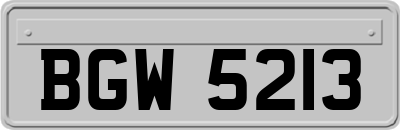 BGW5213
