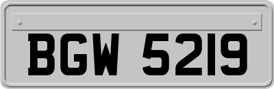 BGW5219