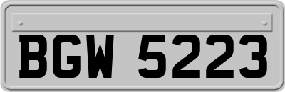 BGW5223