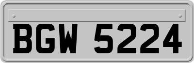 BGW5224
