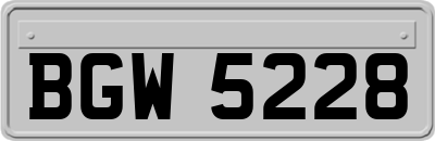 BGW5228