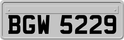 BGW5229