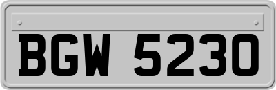 BGW5230