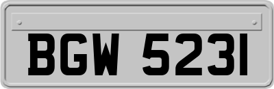 BGW5231