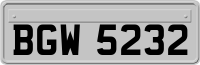 BGW5232