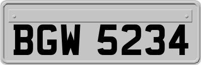 BGW5234
