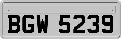 BGW5239