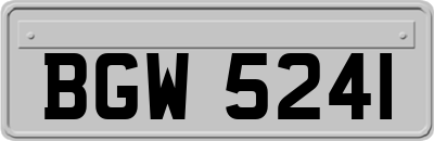 BGW5241