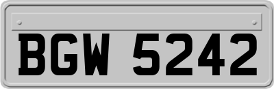 BGW5242