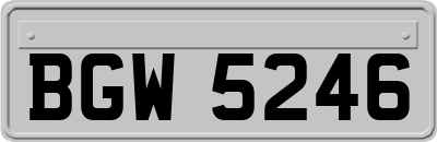 BGW5246