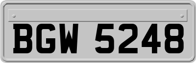 BGW5248