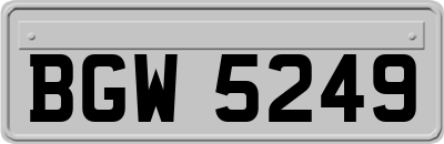 BGW5249