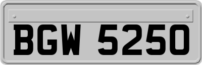 BGW5250