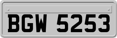 BGW5253