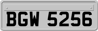 BGW5256