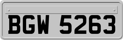 BGW5263