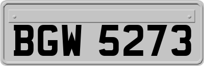 BGW5273