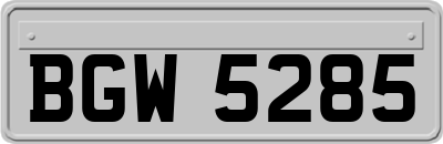 BGW5285