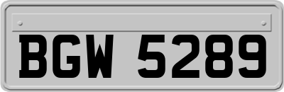 BGW5289