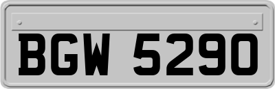 BGW5290