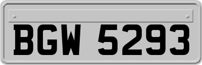 BGW5293
