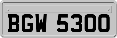 BGW5300